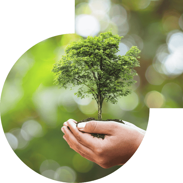 关怀人类、、文化、、环境与社会