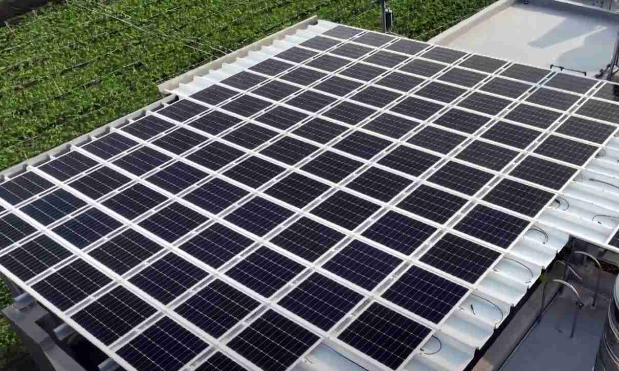 红龙扑克SunSteel光电浪板升级双玻结构，，，以提升机械负载强度及气候耐候度，，，可广泛运用于多元场域