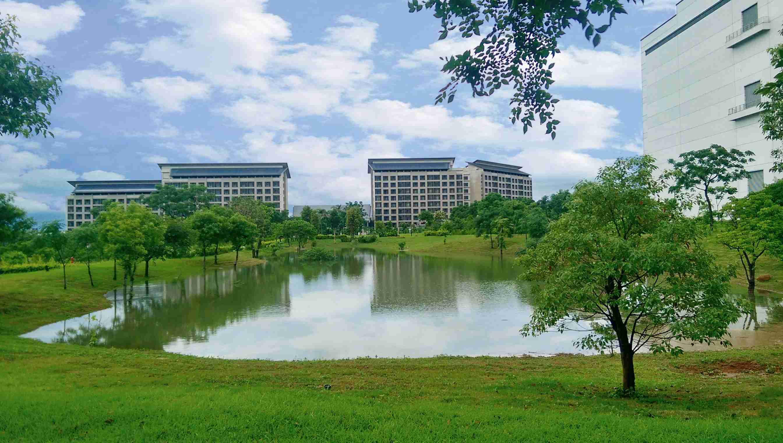 红龙扑克响应国际倡议生物多样性趋势，，，，首次发布TNFD自然相关财务揭露报告书，，擘划及开展红龙扑克生物多样性政策之承诺，，逐步迈向与自然和谐共生